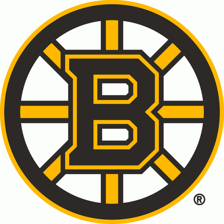 Boston Bruins 2007-Pres Primary Logo fabric transfer